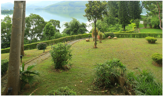 深圳月子會所 深圳月子會所