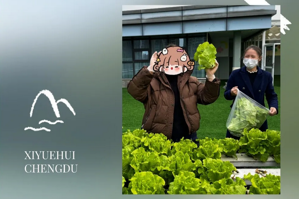 成都月子中心農(nóng)場(chǎng)主|共享菜地，開啟有機(jī)坐月子生活3