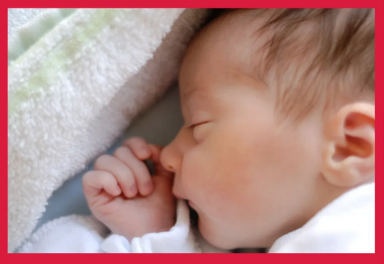 2024精彩回顧|深圳月子中心都有哪些活動(dòng)？2